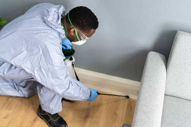 Best Commercial Pest Control  in Toquerville, UT